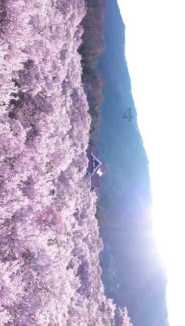 解答全知的如何训练宝宝抓握能力呢?——有问必答平台