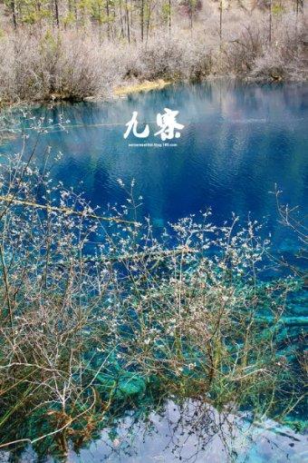 皇帝成长计划2H5