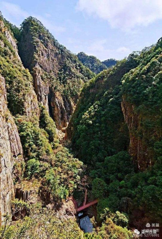 迷雾求生