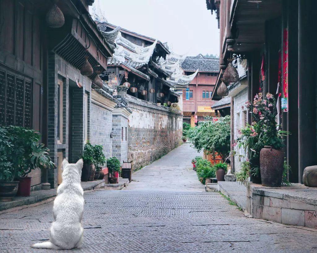 救援小鼓手